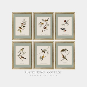 Vintage Bird Art | Minimalist Farmhouse Decor Set of Watercolors with Birds | Vintage Art Wall Gallery Printed & Sent | Country House Decor