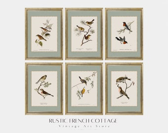 Vintage Bird Art | Minimalist Farmhouse Decor Set of Watercolors with Birds | Vintage Art Wall Gallery Printed & Sent | Country House Decor
