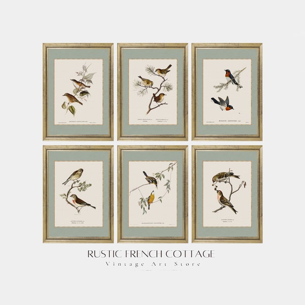 Art vintage d’oiseau | Décor de ferme d'ensemble des aquarelle avec des oiseaux | galerie d'art vintage imprimé et envoyé | décor de chalet