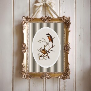 May include: Ornate gold framed artwork featuring two birds perched on branches. The artwork has a cream-colored oval center with a striped background. The frame is detailed with scrollwork and is suspended by a cream-colored ribbon.