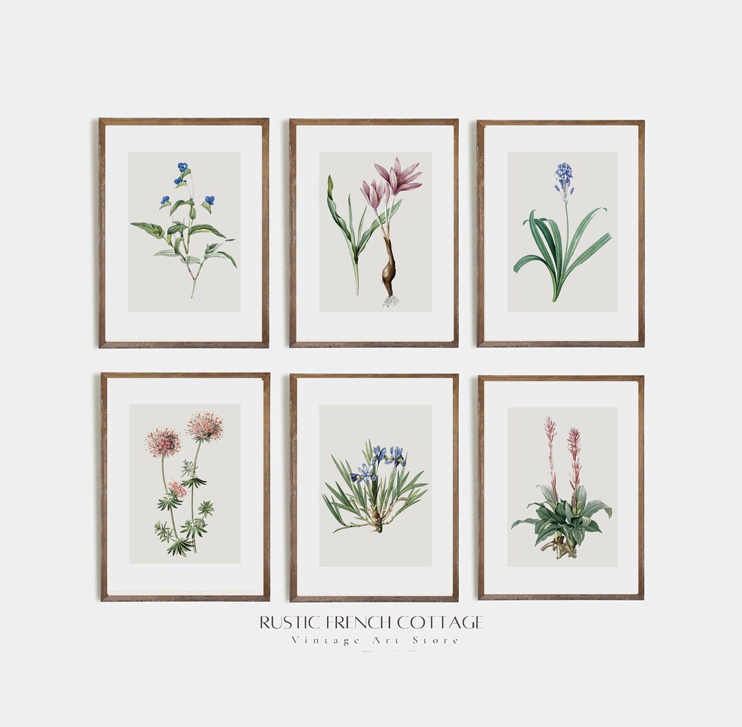 Vintage Wildflower Wall Art Print Set for Nursery | Floral Art for Baby ...