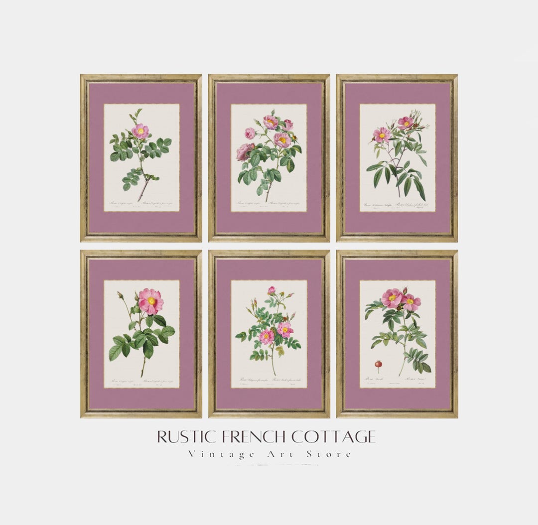 Set of 6 Pink Rose Digital Prints | Vintage Floral Botanical Wall Art ...