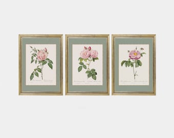 Puede incluir: Tres estampados botánicos enmarcados que representan rosas rosas con hojas y tallos verdes. Los estampados están en marcos dorados con un passe-partout verde claro.