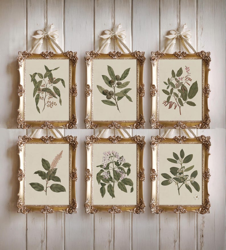 Set of 6 Vintage Botanical Prints | Antique Wall Art for Elegant ...