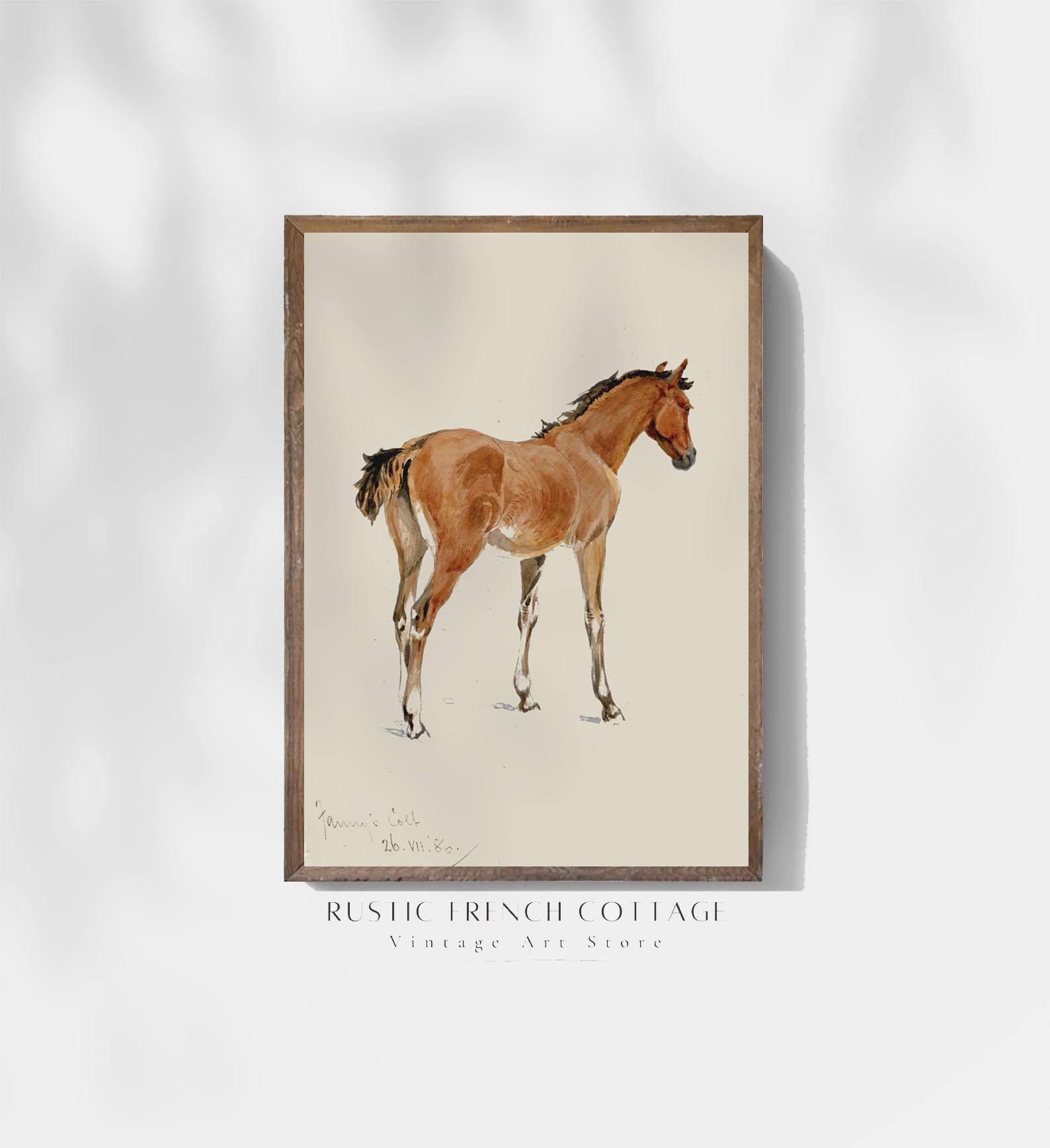 ヴィンテージの馬の絵 | アンティークな馬のイラストを印刷 | オフィス