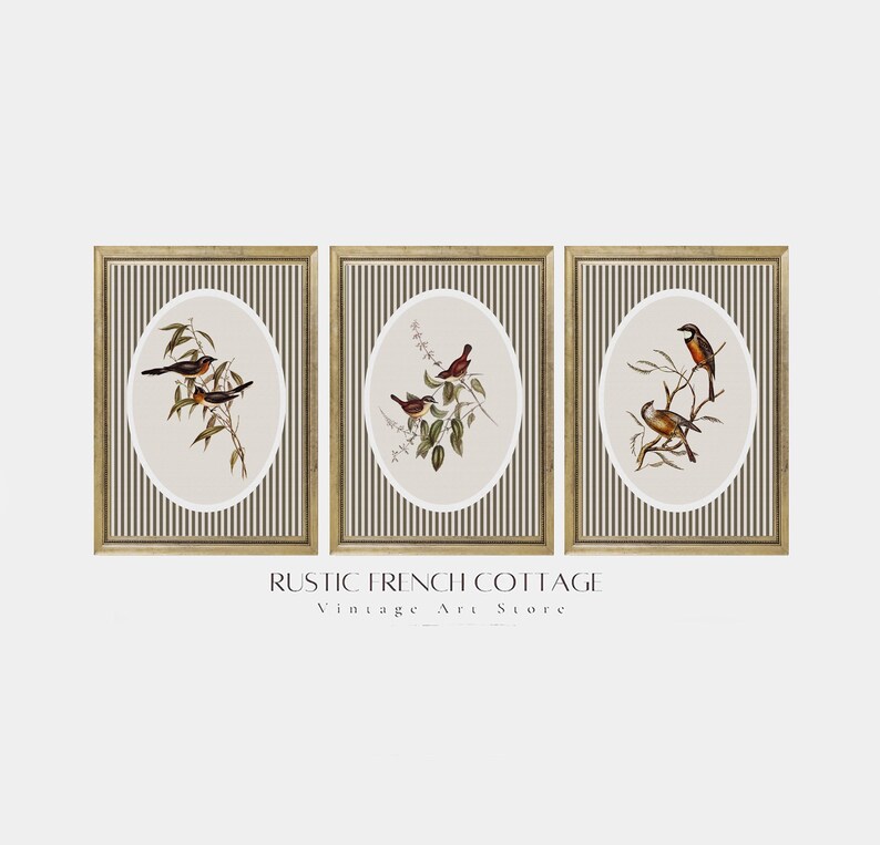 May include: Set of three framed vintage-style prints featuring detailed illustrations of birds perched on branches. Each print has an oval image of birds on a cream background, set against a striped backdrop. The frames are gold-toned, and the text "RUSTIC FRENCH COTTAGE Vintage Art Store" is at the bottom.
