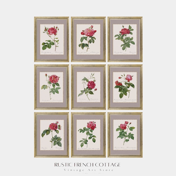 lot de neuf impressions botaniques vintage | aquarelles de fleurs anciennes | croquis botanique de roses pour le déco beige | décor de ferme