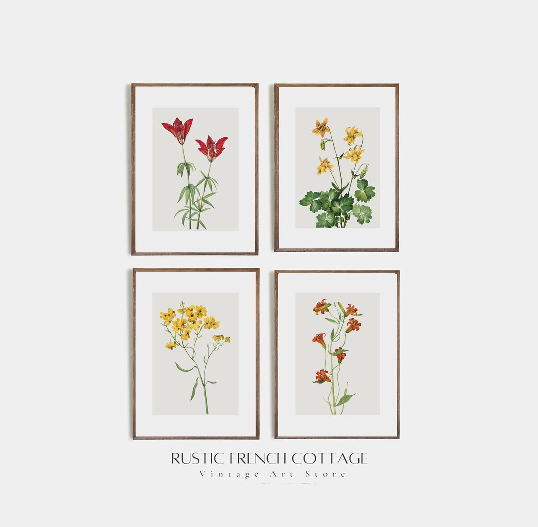 Vintage Wildflower Botanical Set | Rustic Floral Wall Art for Cottage ...