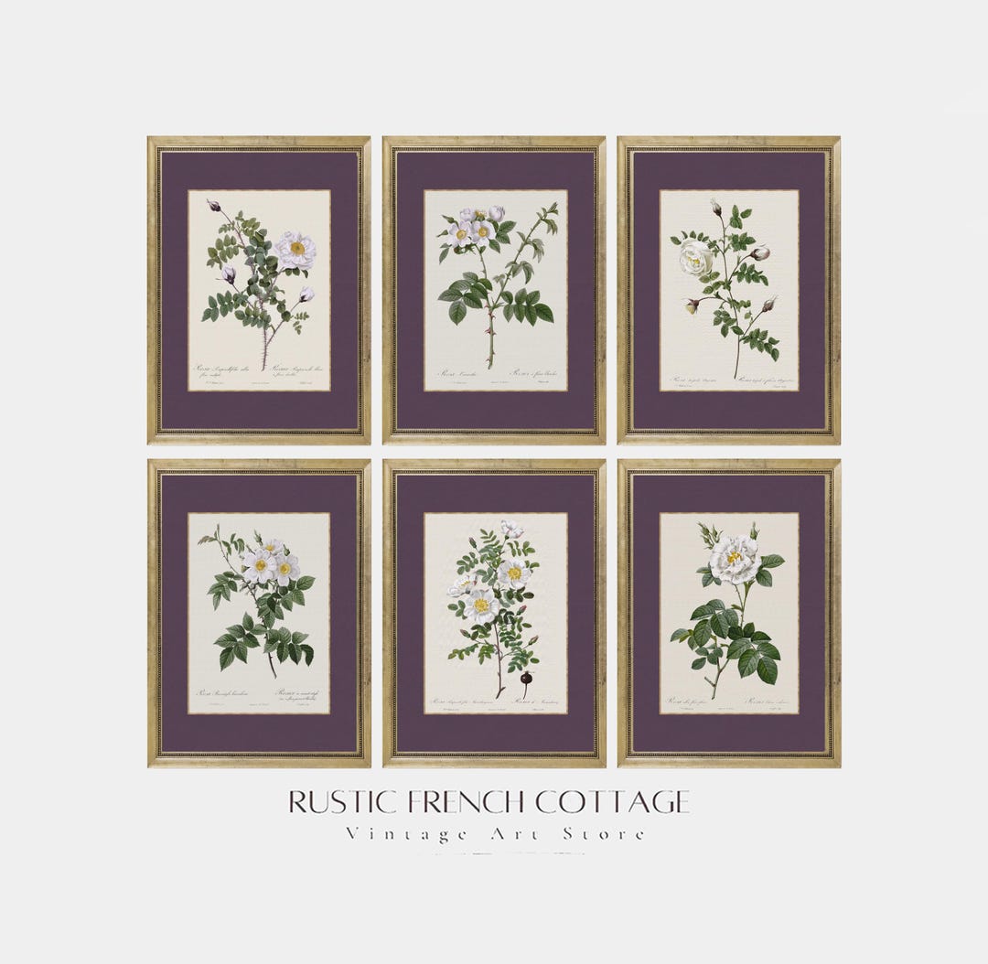 Vintage Rose Wall Art Set of 6 | Classic Floral Prints for Living Room ...