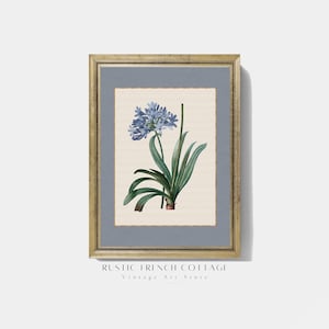 Blue Wildflower Botanical Wall Art Set | Vintage French Cottage Floral ...