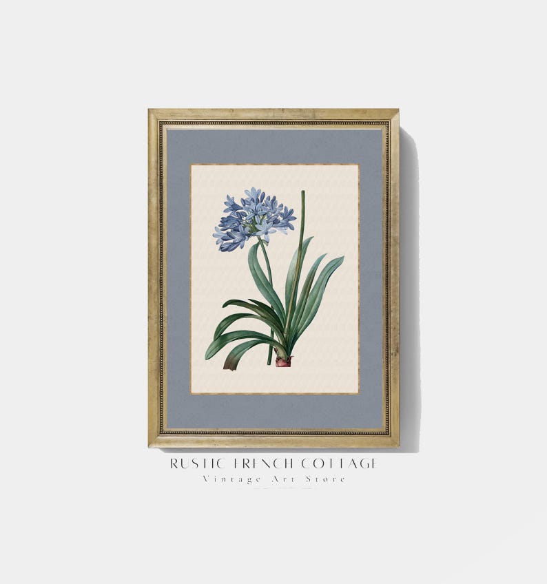 Blue Wildflower Botanical Wall Art Set | Vintage French Cottage Floral ...