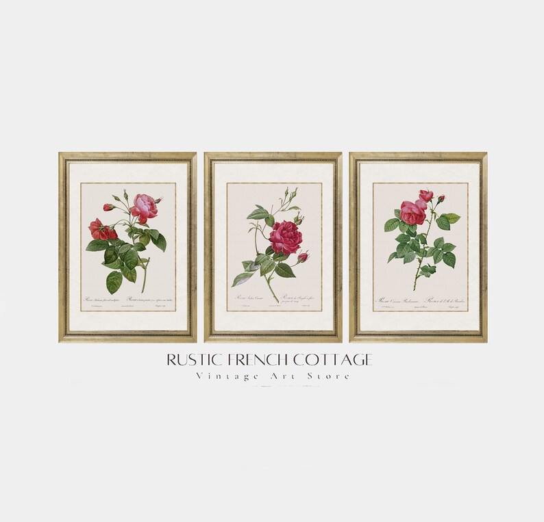 Set of Red Vintage Rose Prints | Romantic Floral Wall Art | Printed and ...