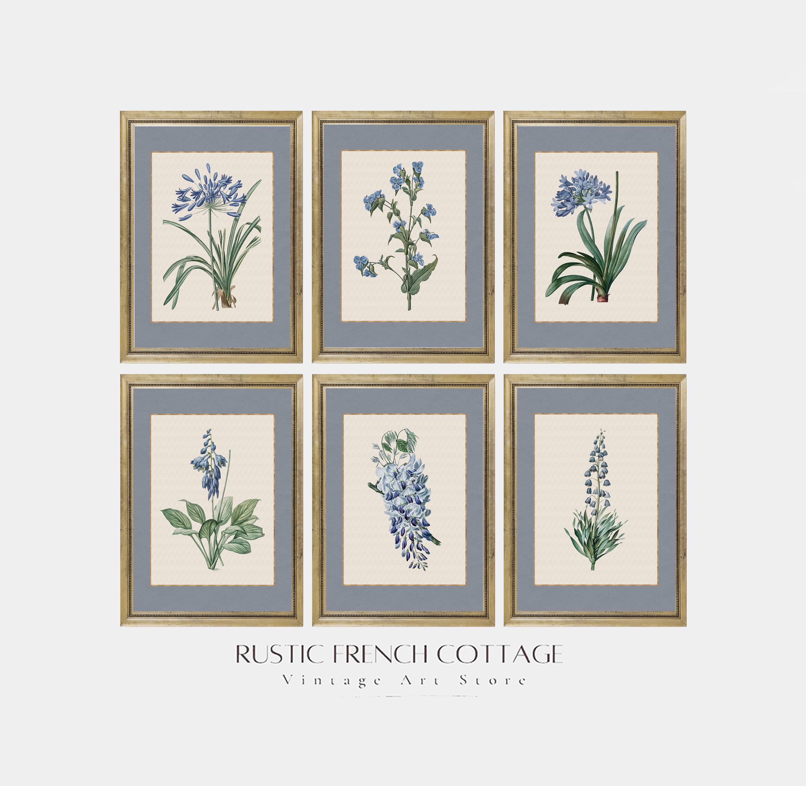 Blue Wildflower Botanical Wall Art Set | Vintage French Cottage Floral ...