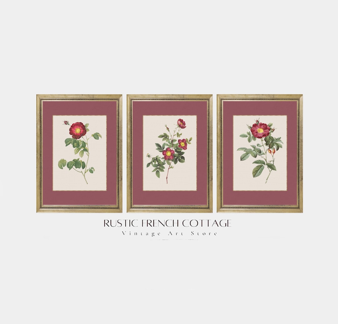 Vintage Red Roses Art Print Set | Printed and Shipped Trio of Botanical ...