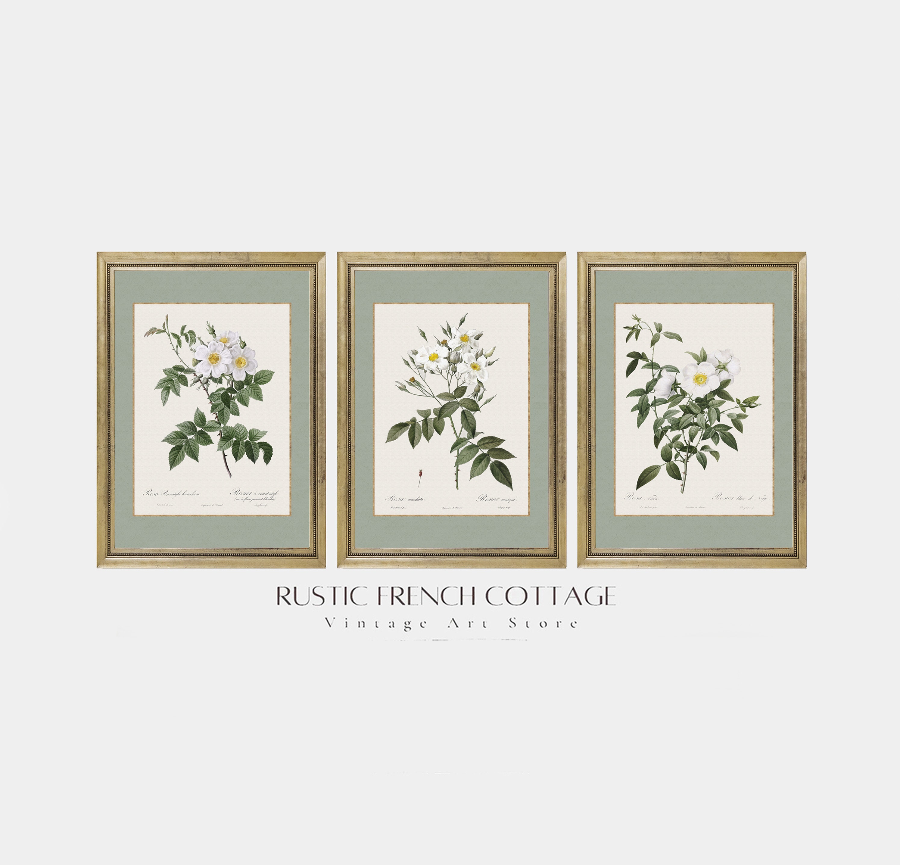 Set of Three Vintage Floral Prints in Sage Green Botanical Wall Gallery ...