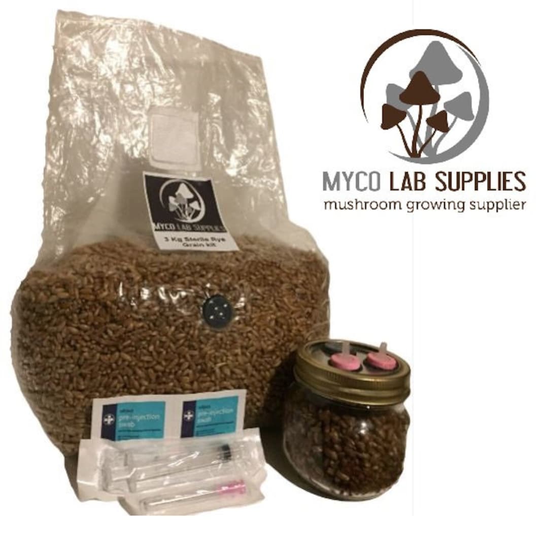 3kg Sterile Grain Bag Kit With Injector Port/test Jar Mushroom Growing