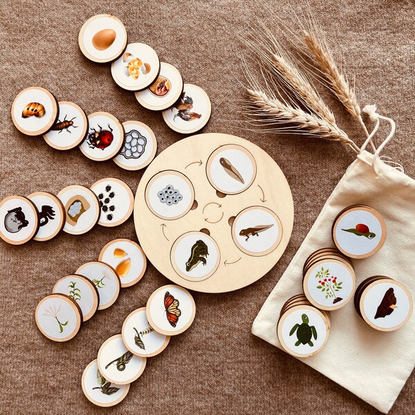 Montessori Language Promotion Wooden Game Life Cycle Board Plants and Animals Educational Toy Puzzle