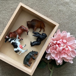 May include: A wooden box with a variety of animal figurines inside, including a cow, a bison, a gorilla, a hippopotamus, and a cow. The box is sitting on a light brown surface with a pink flower.