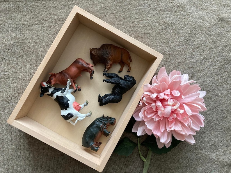 May include: A wooden box with a variety of animal figurines inside, including a cow, a bison, a gorilla, a hippopotamus, and a cow. The box is sitting on a light brown surface with a pink flower.