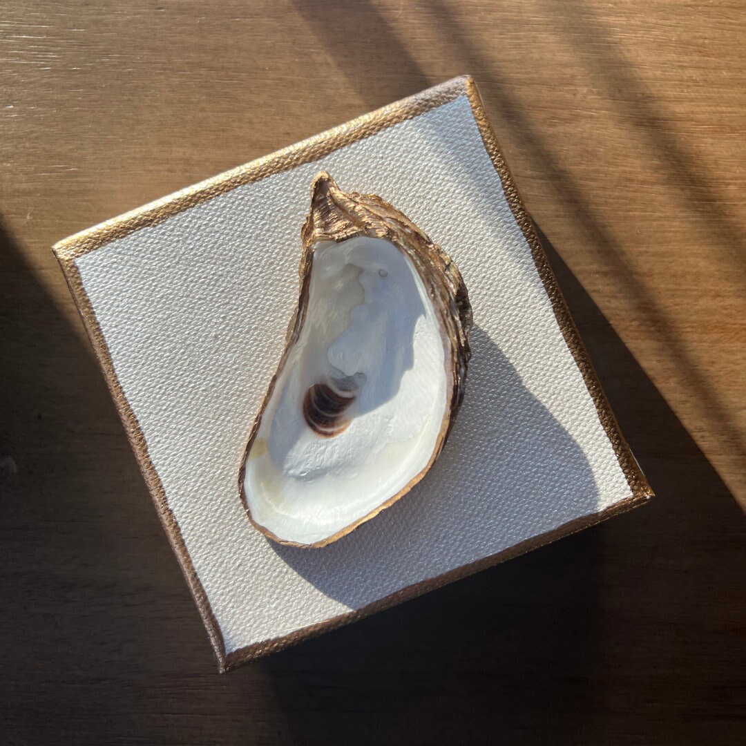 Pearl Oyster Art Canvas, Oyster Shell Artwork Canvas, Coastal Wall Art