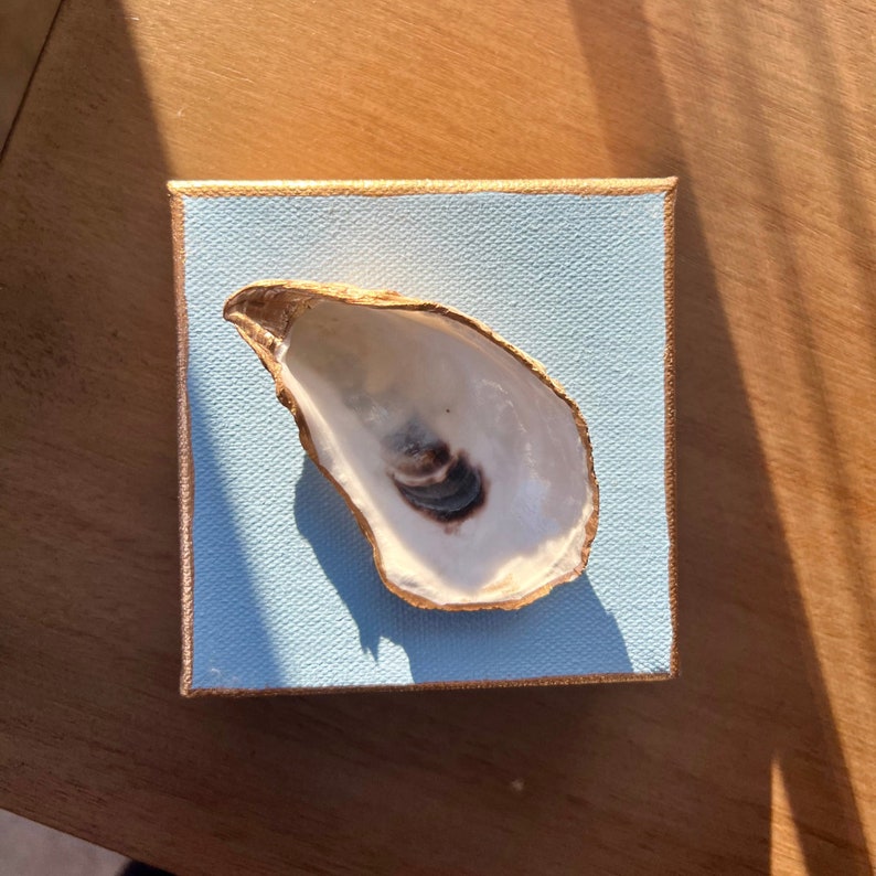 Oyster Art Canvas Blue Oyster Shell Artwork Canvas Coastal Etsy
