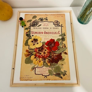 Catalog poster - 1897 - Vegetables and vegetable plants poster - Vilmorin - Vegetable poster