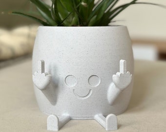 Cute Funny Plant Pot - Gag gift - joke - rude - plant lover - garden - houseplant - cheeky - gift, Christmas, Xmas, Secret Santa, stocking