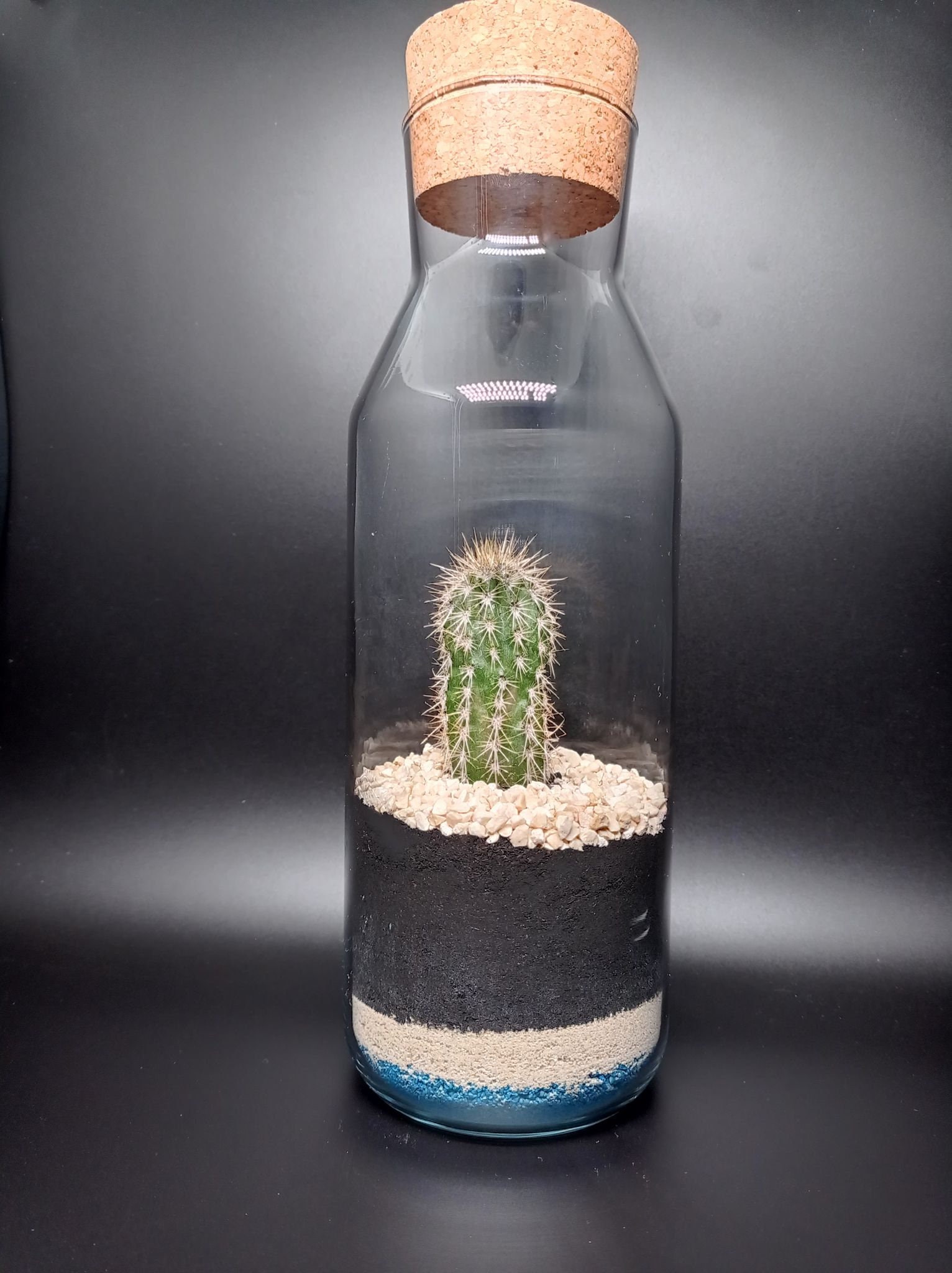 Terrarium Original de Cactus avec Sable Coloré