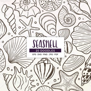 Scarabocchi di conchiglie, clipart di vita marina disegnata a mano. EPS, SVG, PNG