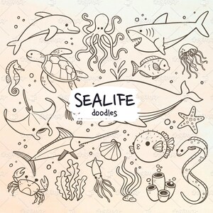 DOODLES DE VIDA MARINA – Adorables animales y criaturas marinas. Peces, pulpos, delfines, tiburones y algas. Formatos de archivo: vector eps, pdf, svg, png
