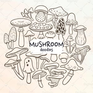 Garabatos de setas: adorables setas del bosque. Estilo dibujado a mano, perfecto para tus proyectos de manualidades. Formatos de archivo: vector eps, pdf, svg, png