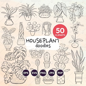 Garabatos de plantas de interior, conjunto de imágenes prediseñadas de plantas de interior, plantas en maceta dibujadas a mano, plantas tropicales, plantas aisladas con arte lineal, vectores EPS, SVG, PNG transparente