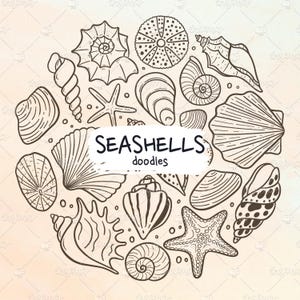 GARABATOS DE CONCHAS MARINAS – Adorables conchas y caracolas. Estilo dibujado a mano, perfecto para proyectos con temática marina. Formatos de archivo: vector eps, pdf, svg, png