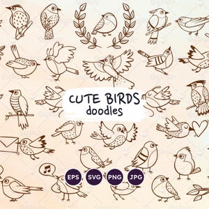 Ensemble de griffonnages d'oiseaux, illustrations d'oiseaux mignons, petits oiseaux à colorier, oiseaux dans différentes poses et situations, vecteurs dessinés à la main EPS, SVG, PNG