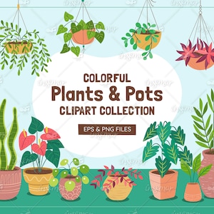 Collection de clip art plante d'intérieur, illustrations de plantes isolées et pots, ensemble de plantes, amoureux des plantes, EPS, PNG transparents