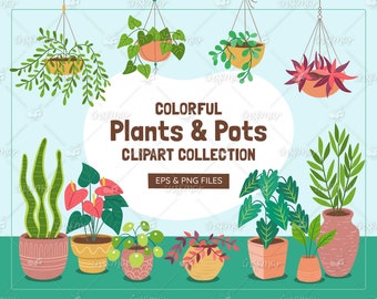 Houseplant Clip Art Collection, Isolated Plants and Pots illustrations, Plant Lover, Nature Vector Clip Arts, EPS, PNG