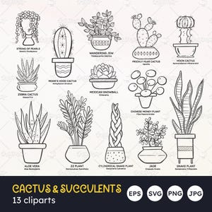 Plantas SVG, garabatos de cactus y suculentas, conjunto de plantas de interior, plantas en macetas dibujadas a mano, plantas aisladas con arte lineal, EPS vectoriales, PNG transparente
