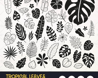 Bundle de cliparts feuilles tropicales : Monstera, Hibiscus, dessins de la jungle (SVG, PNG, EPS) téléchargement numérique