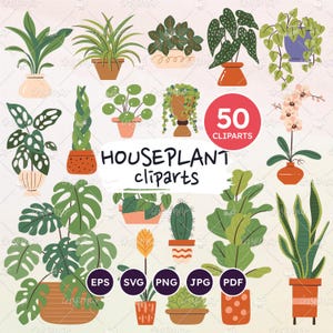 Planta de interior SVG vectorial, clip art de planta de interior, plantas en macetas dibujadas a mano, plantas aisladas de colores, suculentas, EPS vectoriales, PNG transparente