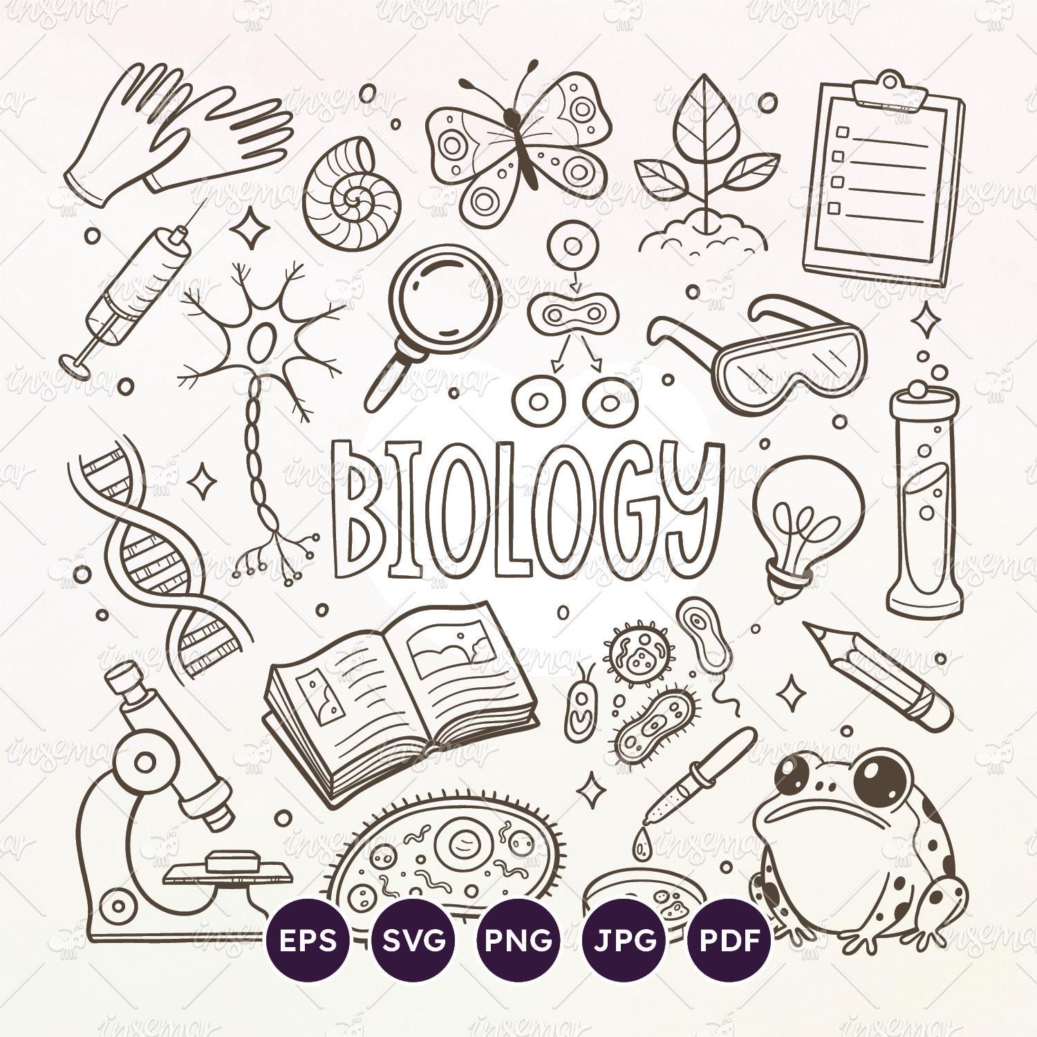 Conjunto de imágenes prediseñadas de biología: gráficos de ciencias  escolares (EPS, SVG, PNG) - Etsy México, image size:1500x1500
