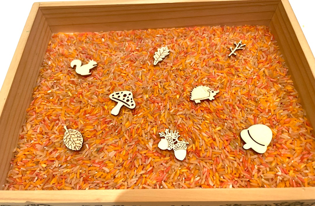 Autumn Mix Woodland Fall Sensory Rice Play Kit Coloured Rice Small Part ...