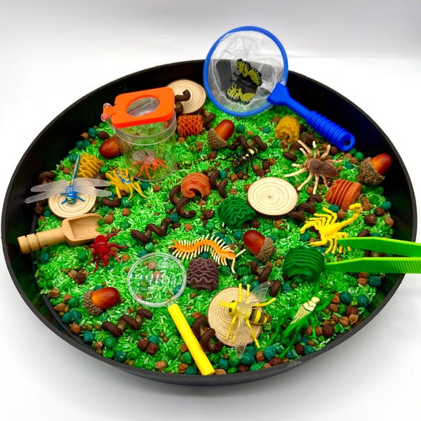 Insect Tuff Tray - Etsy UK