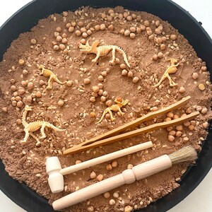 Dinosaur Excavation Set Dino Fossil Sensory Play Tray Kit Messy Play ...