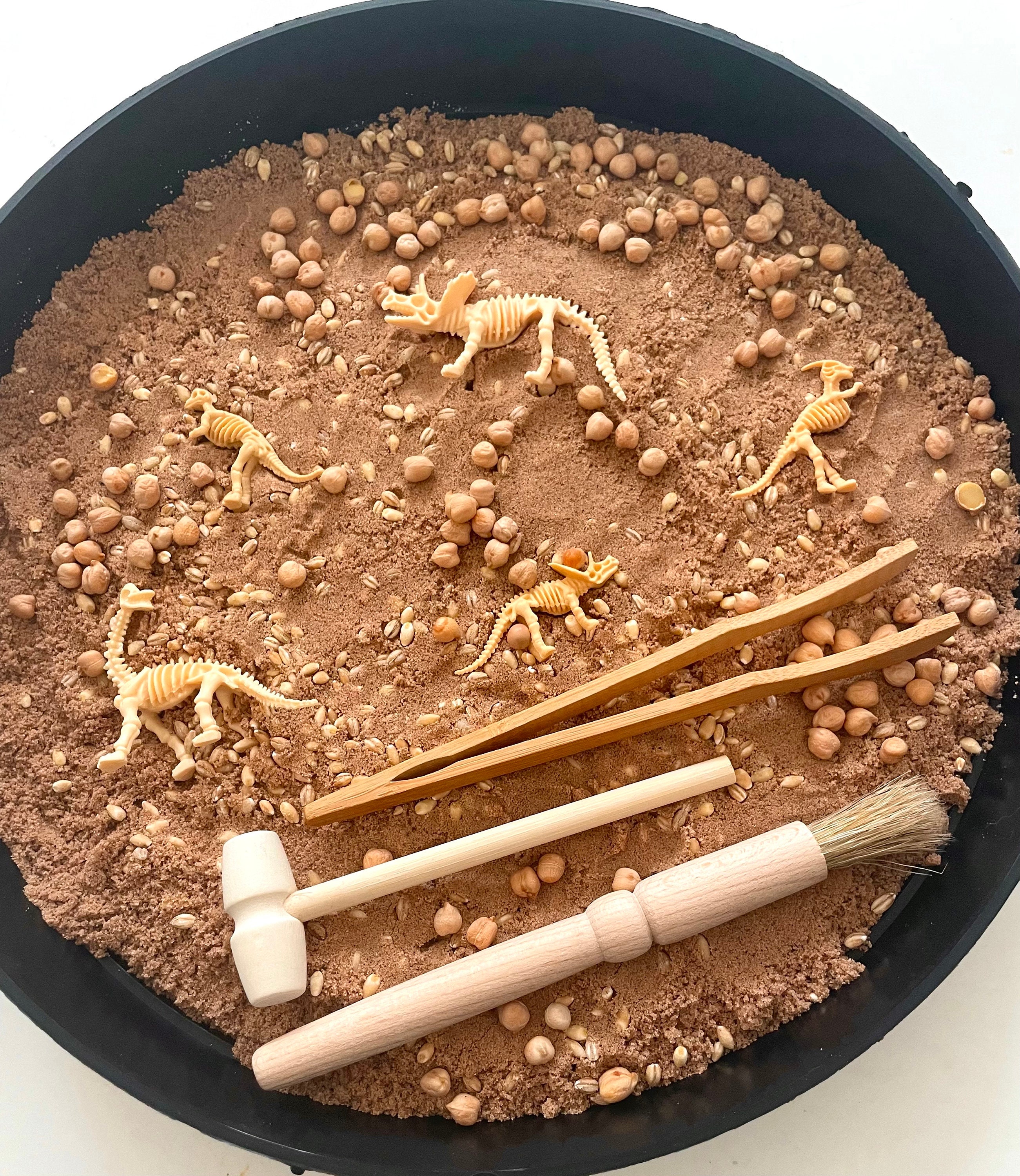 Dinosaur Excavation Set Dino Fossil Sensory Play Tray Kit Messy Play ...