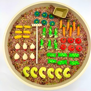 May include: A sensory play garden scene with miniature toy vegetables arranged in a round, beige tray. The garden includes carrots, tomatoes, corn, and other green and white vegetables, set in a bed of brown and green grains. A small toy wheelbarrow and rake are also included.