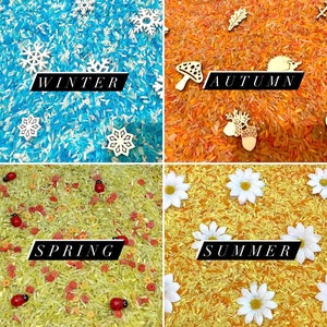 May include: Four sensory bins, each representing a different season. The top left bin is blue and contains white snowflakes and the word "WINTER". The top right bin is orange and contains brown leaves and the word "AUTUMN". The bottom left bin is green and contains red ladybugs and the word "SPRING". The bottom right bin is yellow and contains white daisies and the word "SUMMER".