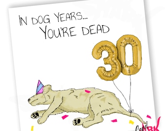 May include: A humorous birthday card with a cartoon dog wearing a party hat and lying on the ground. The card says "In dog years... You're dead" and features gold foil balloons that say "30".