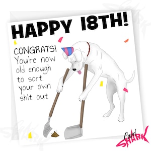 Cartão engraçado de aniversário de 18 anos, cartão para aniversário de 18 anos, presente engraçado de aniversário de 18 anos, para ele, para ela, cartão de 18 anos para filho, cartão de 18 anos para filha,