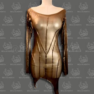 See Through Sheer Corset-style Dress, Metallic Colors Lingerie, Loungewear, Beachwear