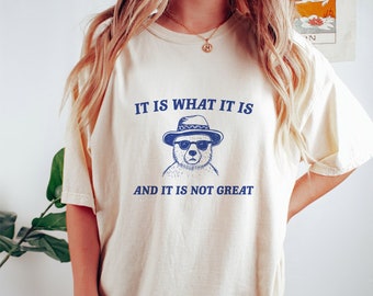 It Is What It Is And It Is Not Great - Unisex T Shirt, Funny T Shirt, Meme T Shirt, Cartoon Bear T Shirt